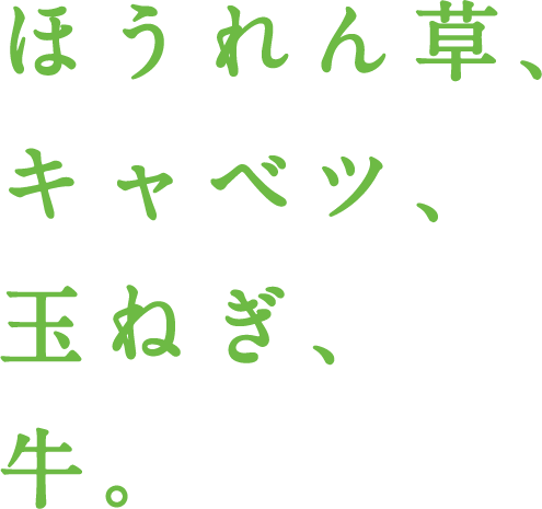 ほうれん草、キャベツ、玉ねぎ、牛。